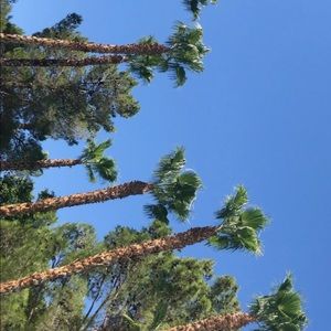 Meet your Posher, Kennedy